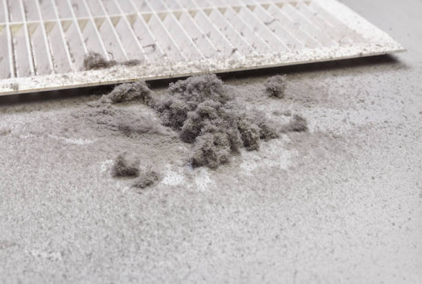 Best Dryer Vent Cleaning Services  in Indian Springs, GA